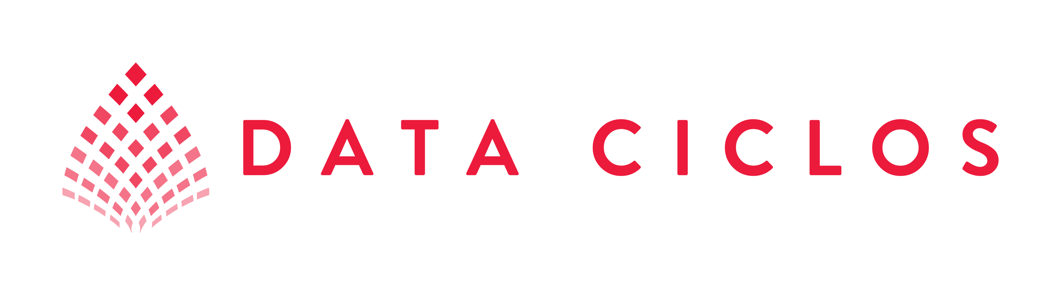 Data Ciclos